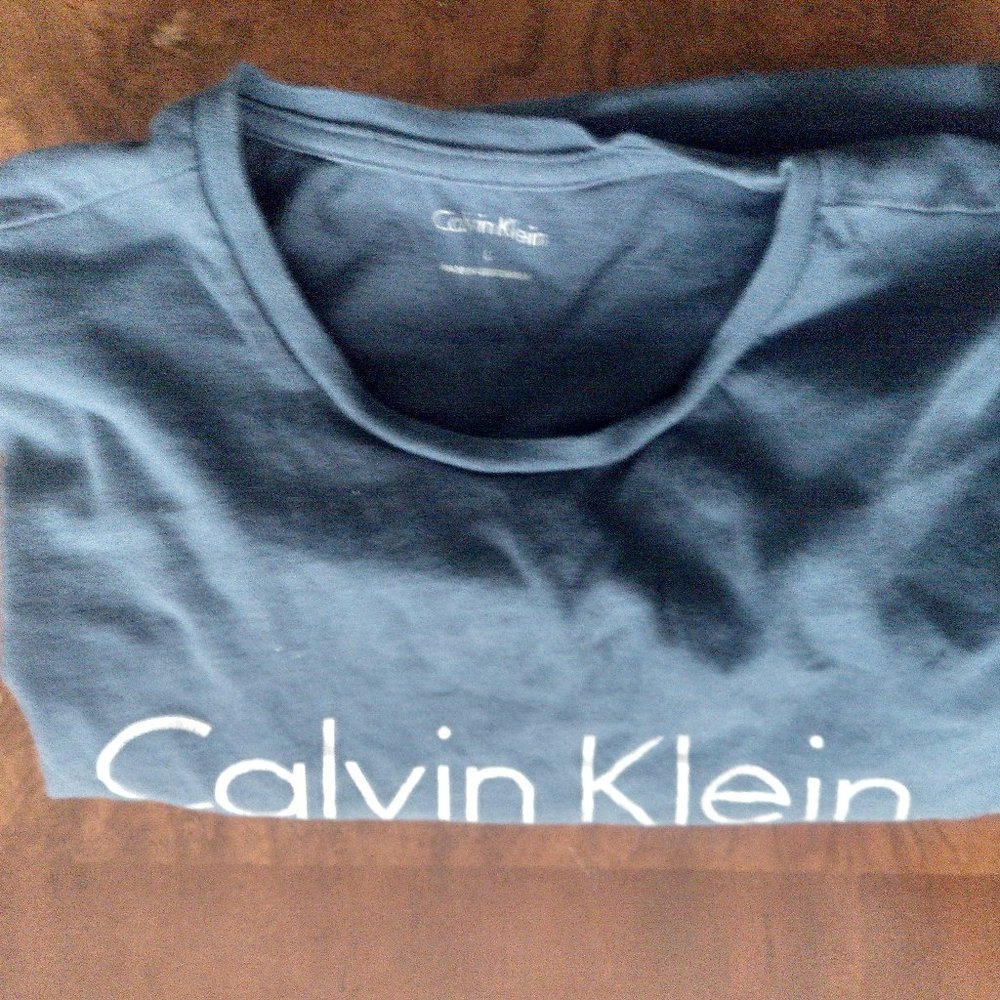 Calvin Klein Size Large T-Shirt Color Blue